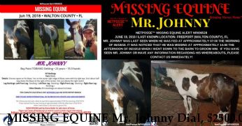 MISSING EQUINE Mr. Johnny Dial, $2500.00 REWARD  Near Freeport, FL, 32439